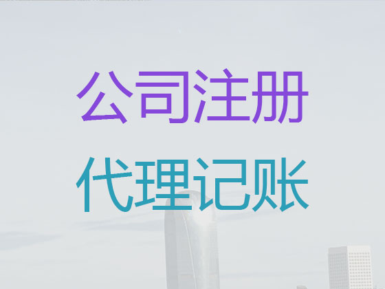 海口代理记账公司-记账报税服务